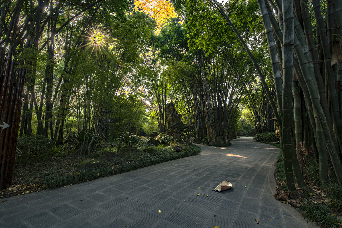 公园小景 (0).jpg