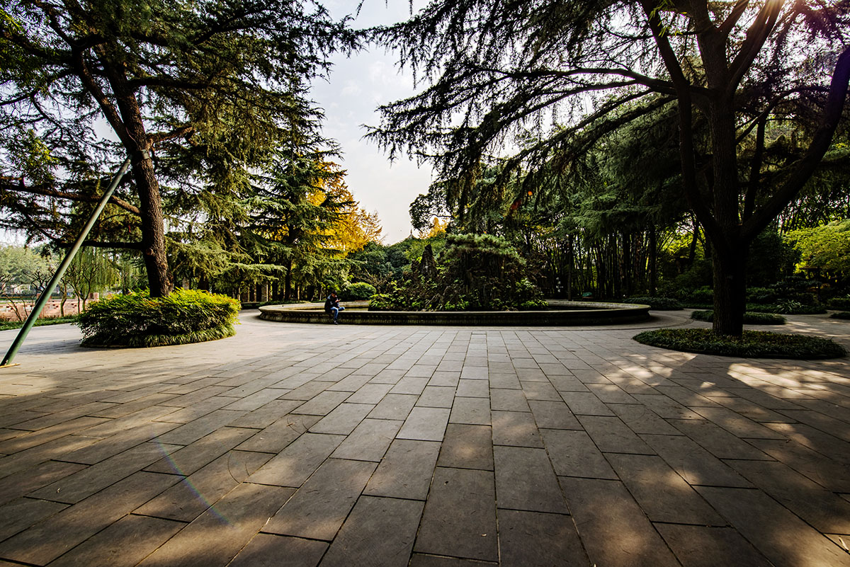 公园小景 (1).jpg