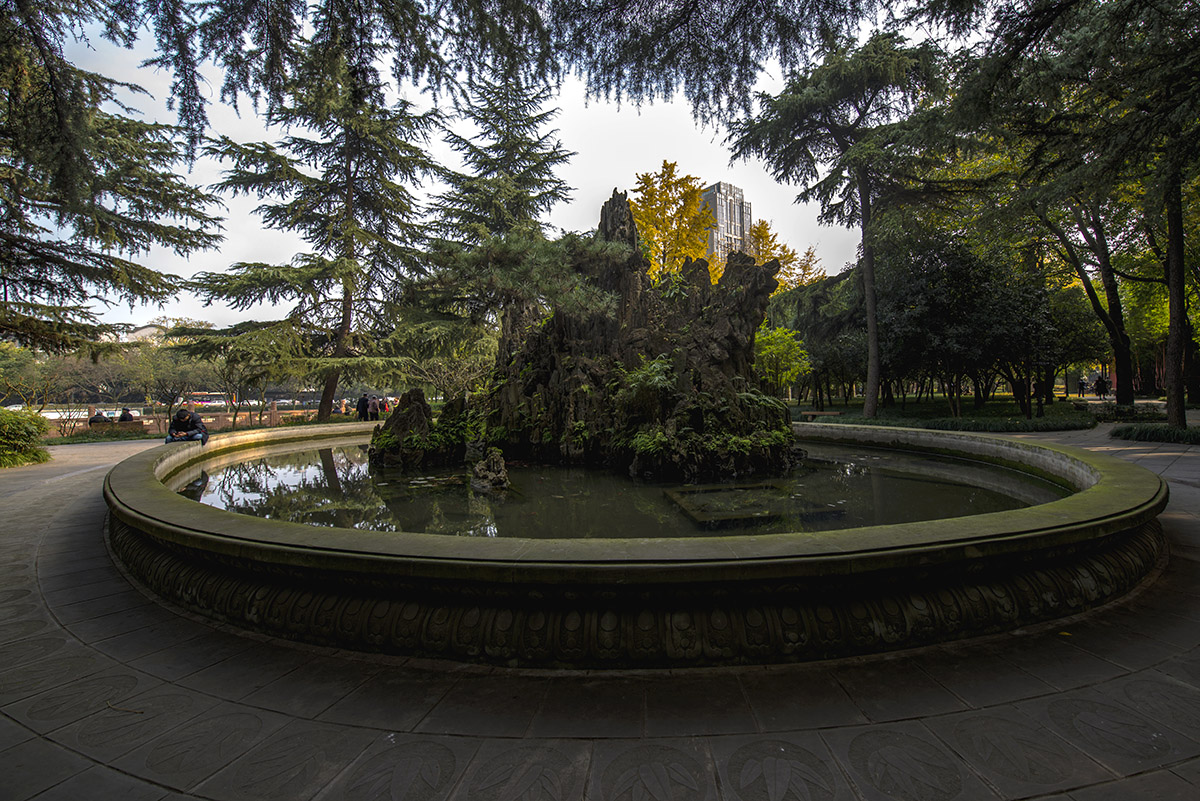 公园小景 (2).jpg