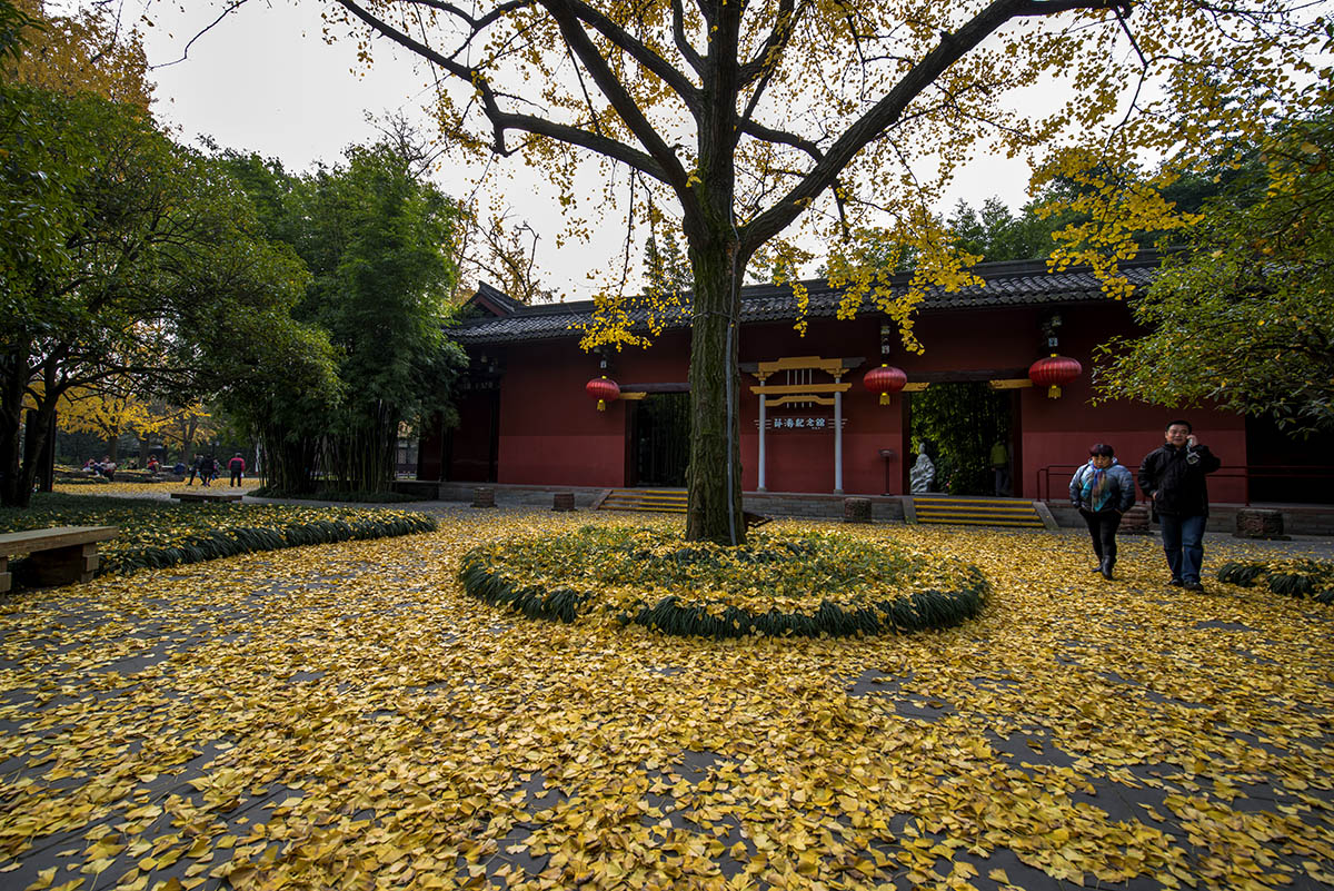 公园小景 (5).jpg