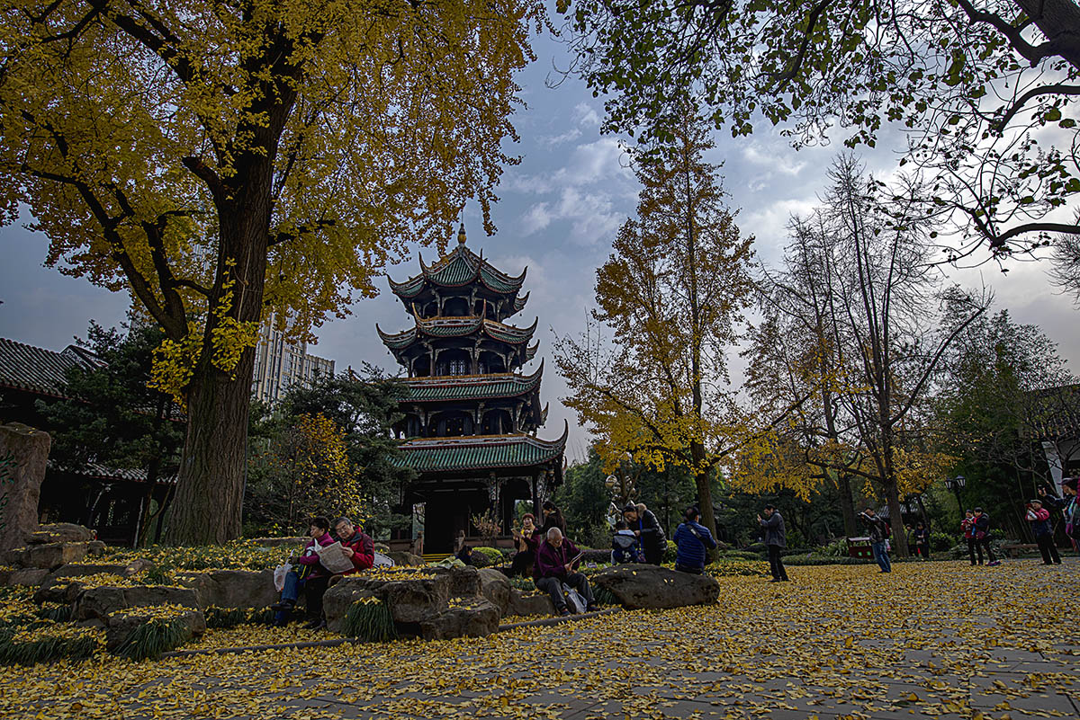 公园小景 (6).jpg