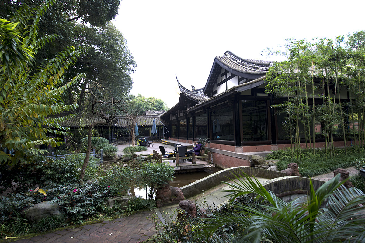 公园小景 (8).jpg