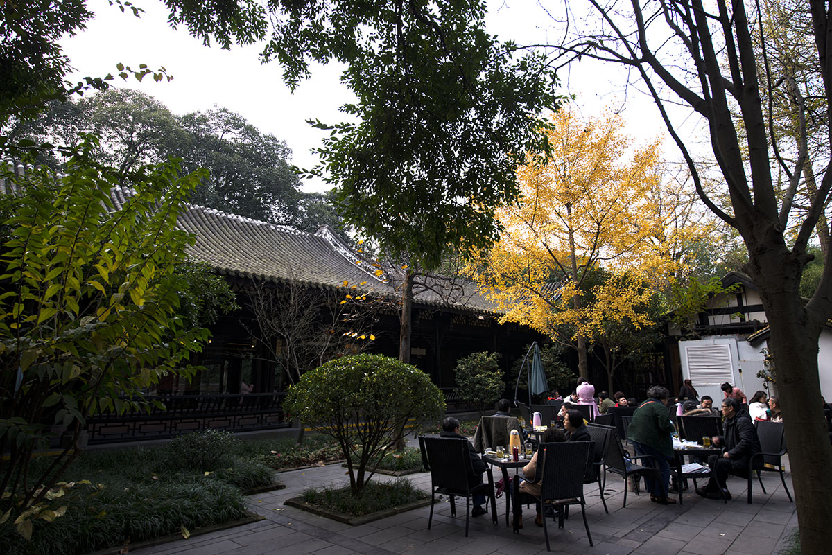 公园小景 (9).jpg