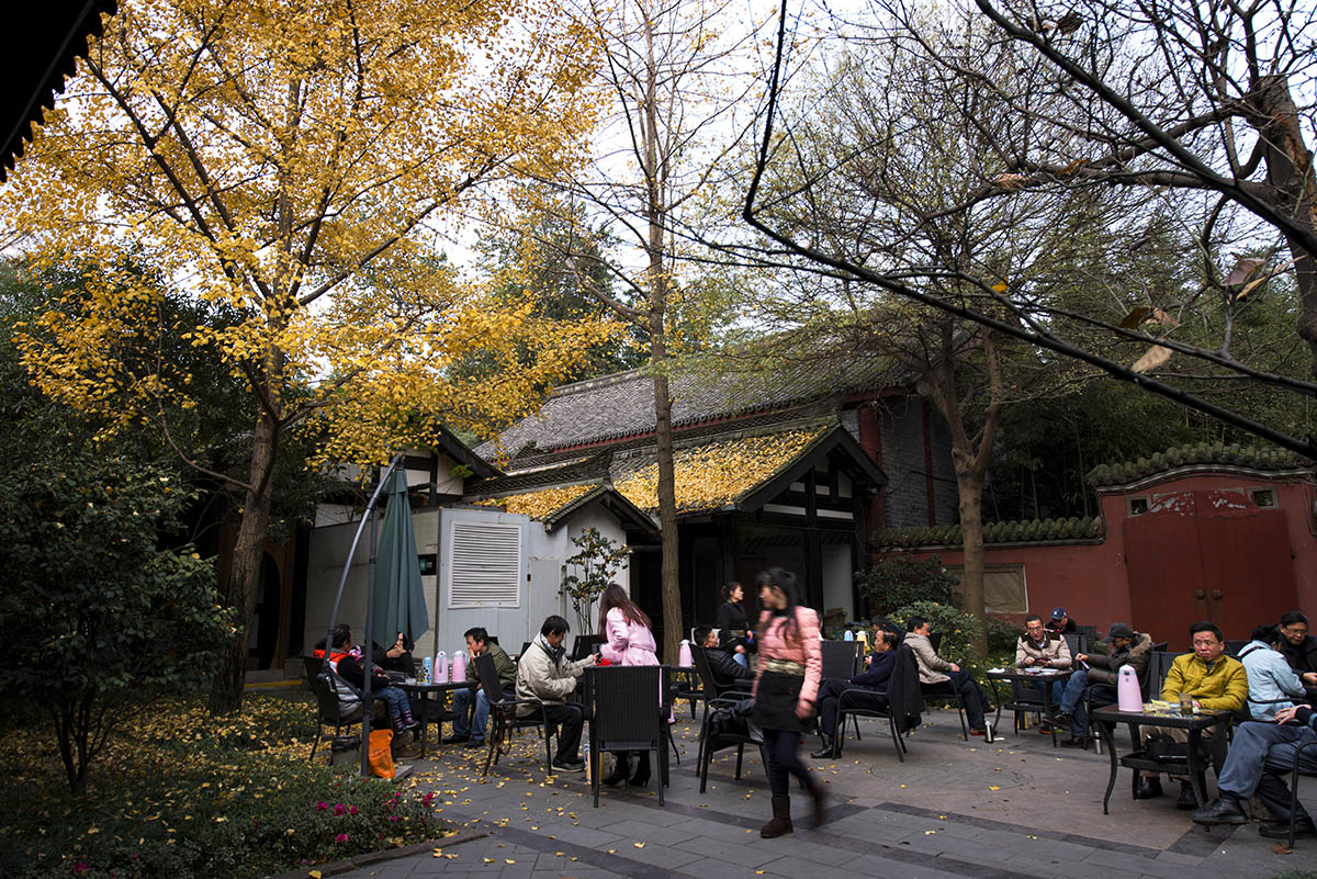 公园小景 (10).jpg