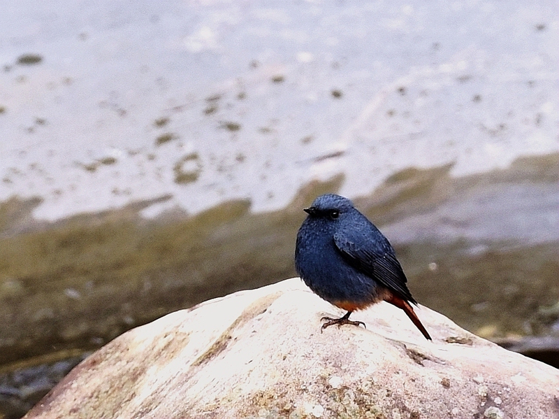 DSC_8953_副本_副本.jpg