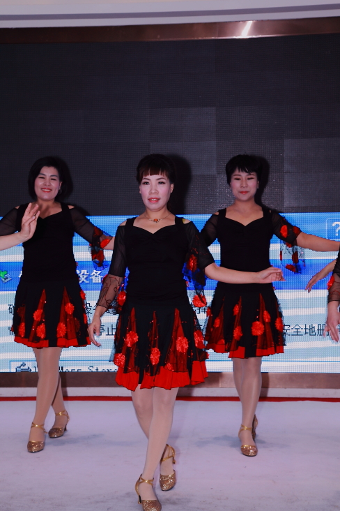 IMG_5205年会掠影.JPG