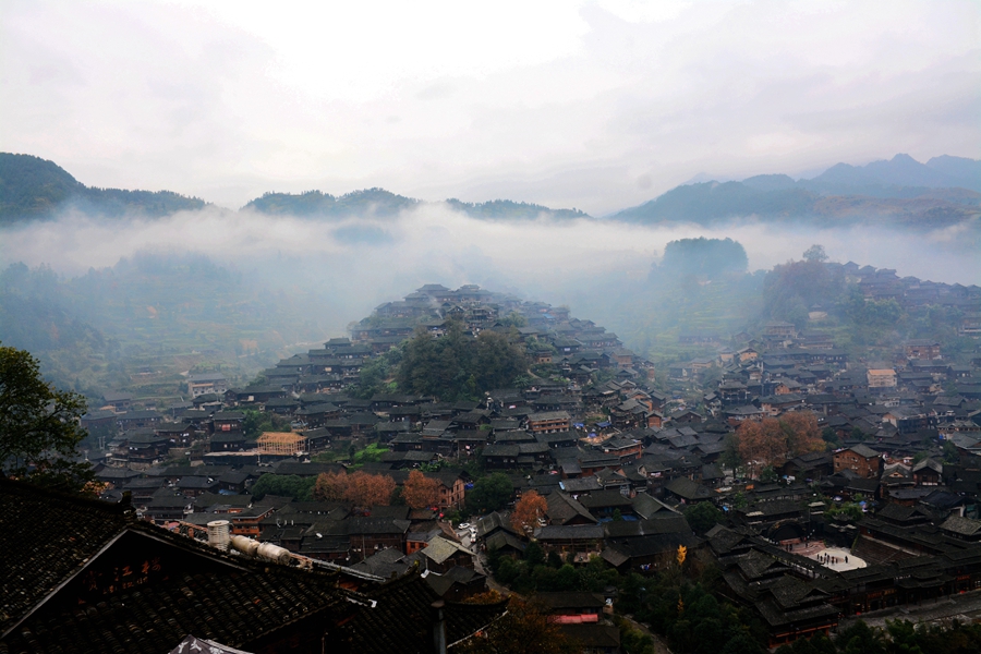 DSC_5335_副本_副本.jpg
