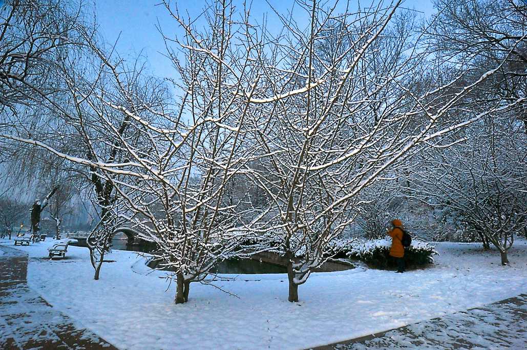 DSC_0070.JPG