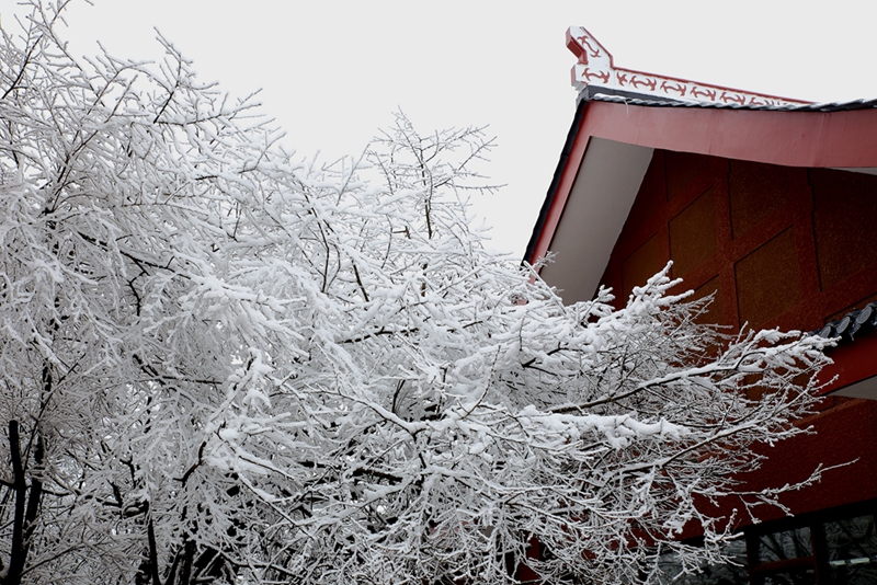 踏雪峨眉山---潇洒拍摄07.jpg