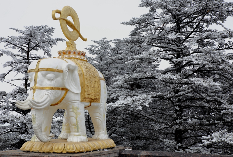 踏雪峨眉山---潇洒拍摄15.jpg