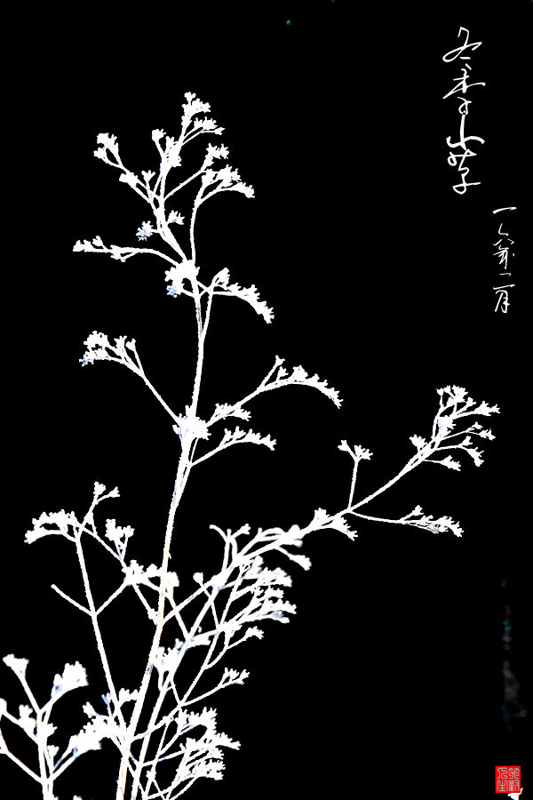 7K1A5124_副本.jpg