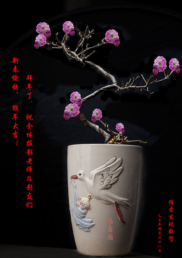 2016年春节拜年图x.jpg