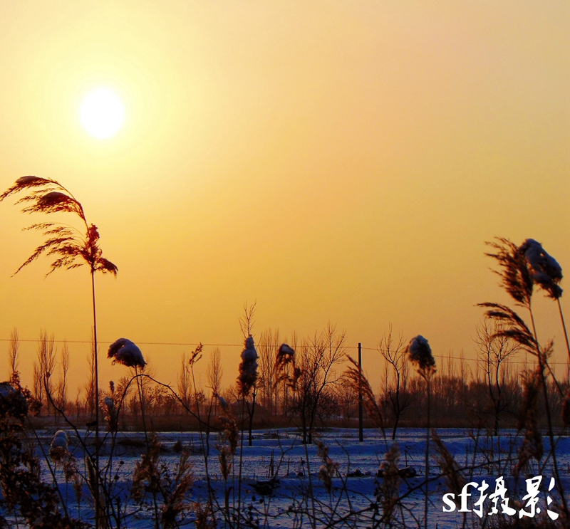 DSC01320_conew1.jpg