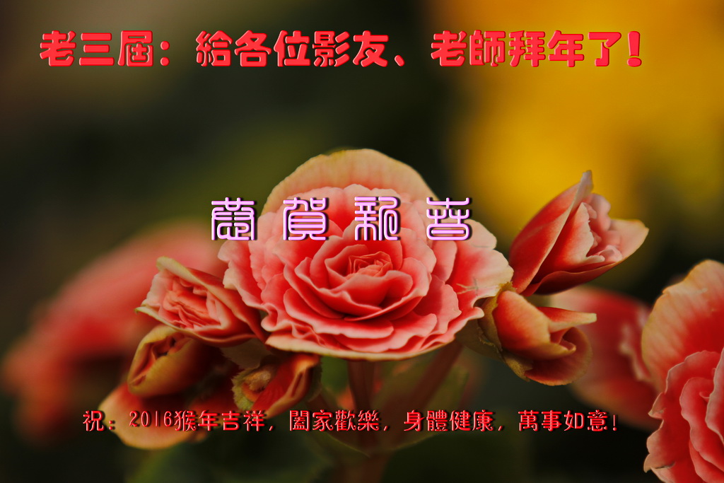 恭贺新春.jpg