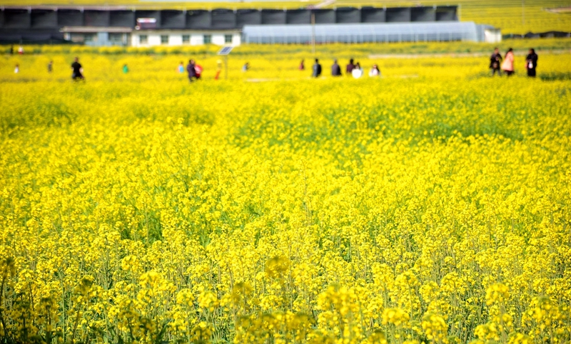 DSC_1397_副本_副本.jpg