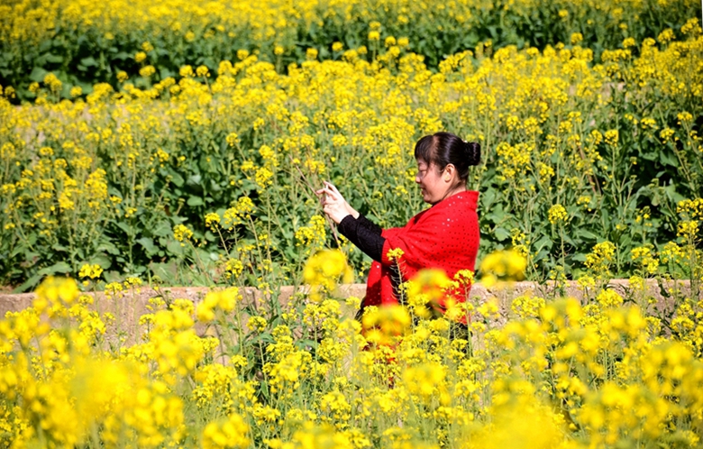 DSC_1378_副本_副本_副本.jpg