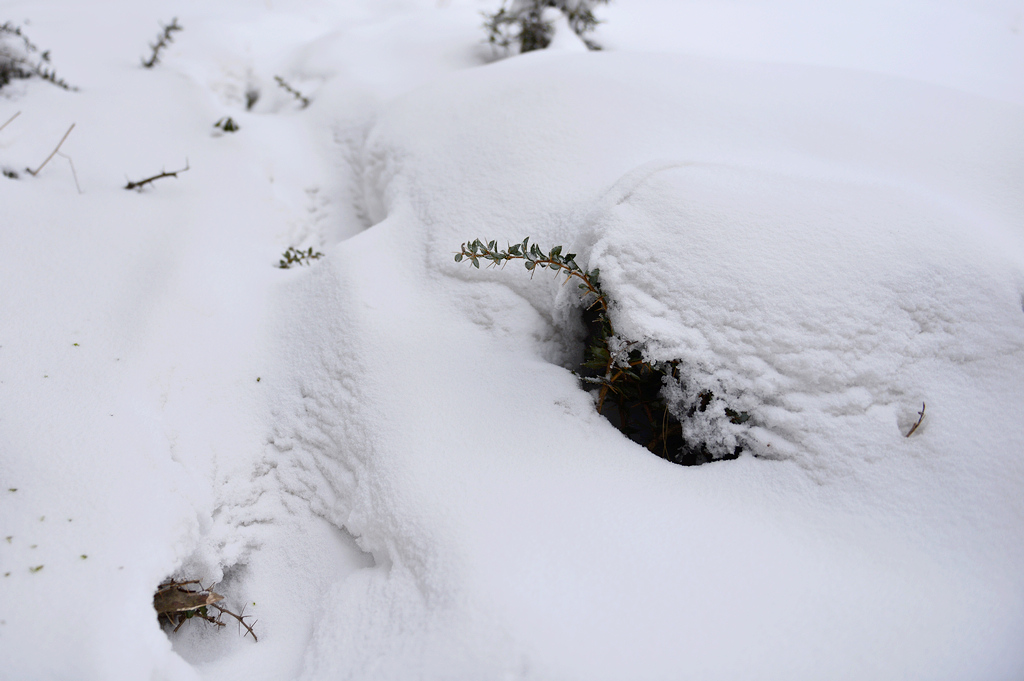 ５DSC_5441.jpg