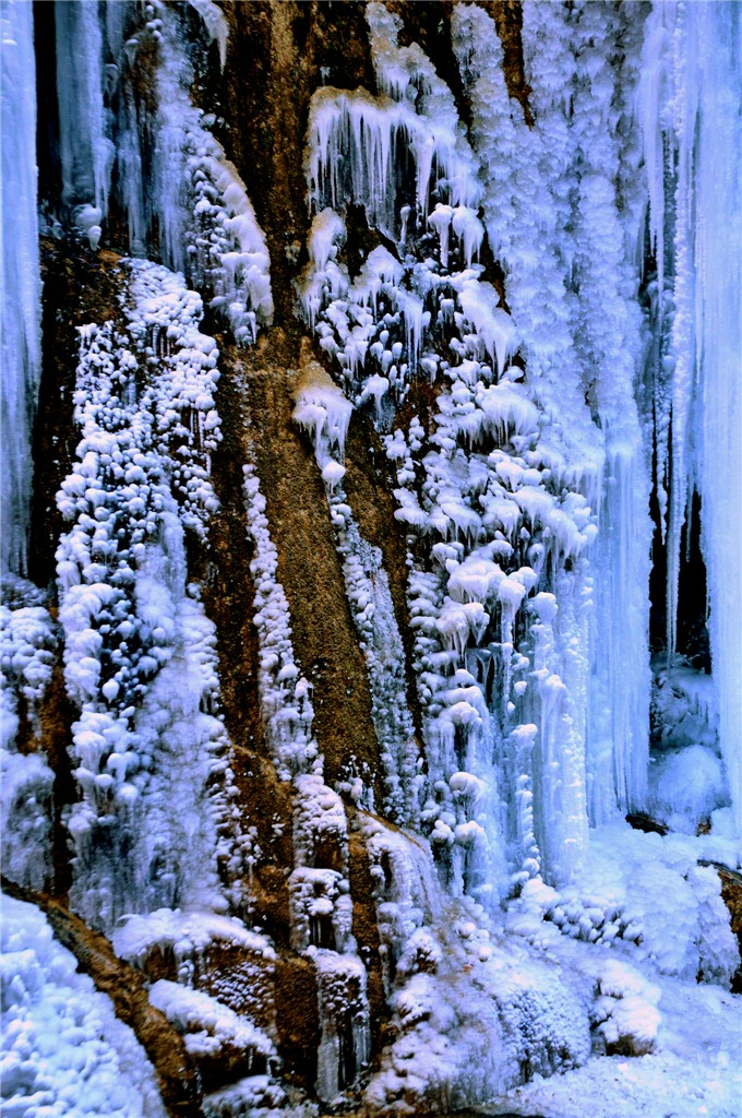 DSC_0196.jpg
