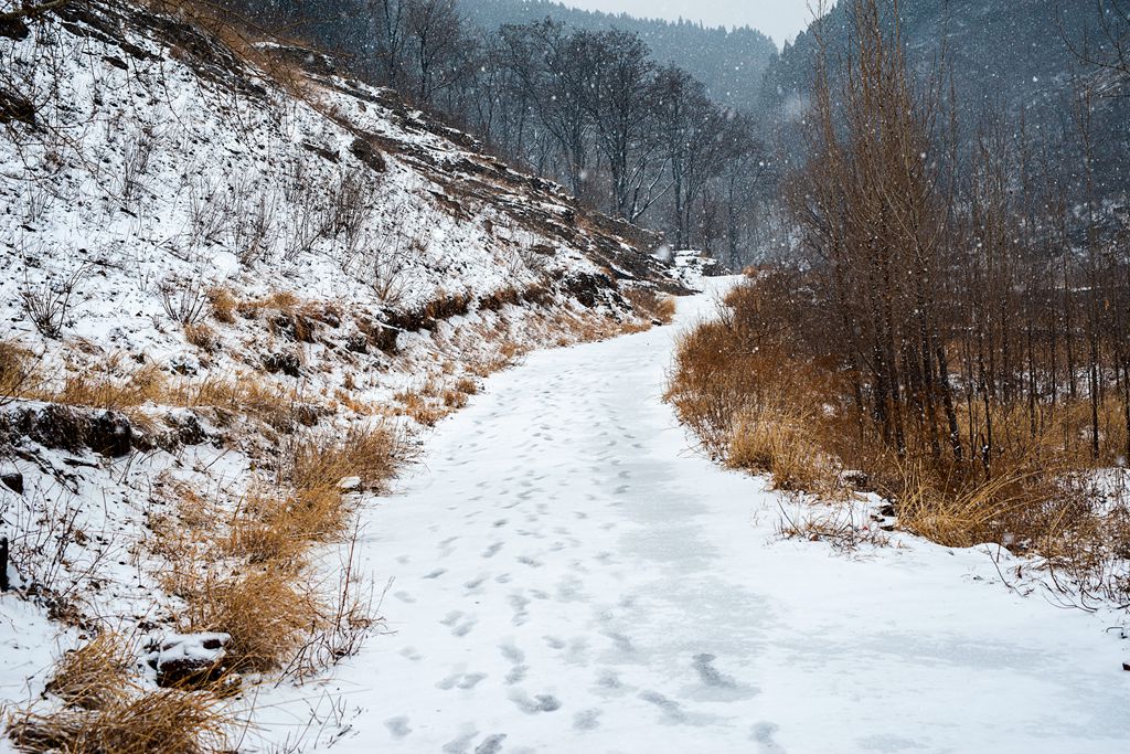 _DSC0181_副本.jpg