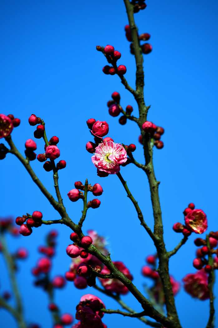 DSC_0016.JPG
