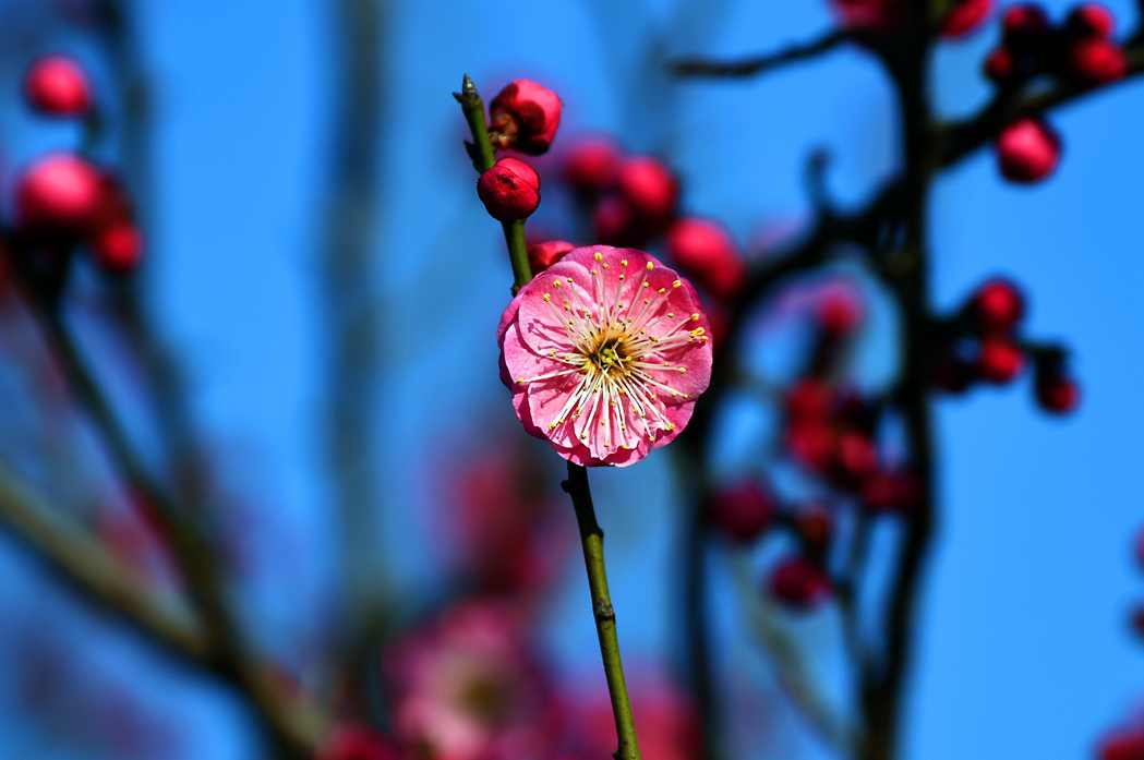 DSC_0017.JPG