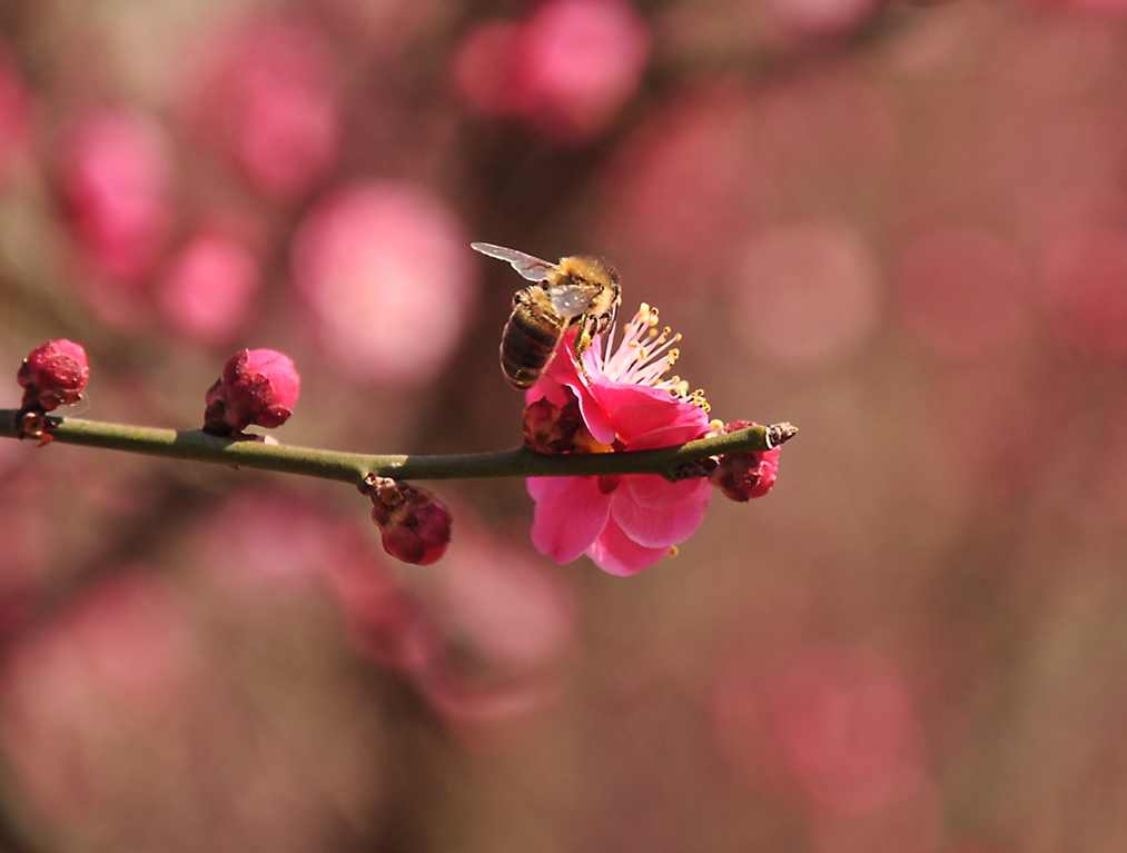 DSC_0047.JPG