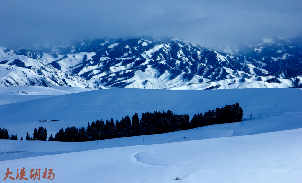 _MG_9282.jpg
