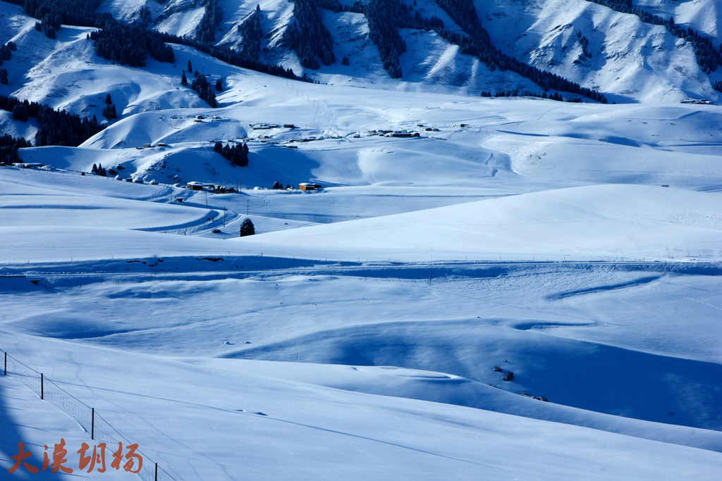 _MG_9257.jpg