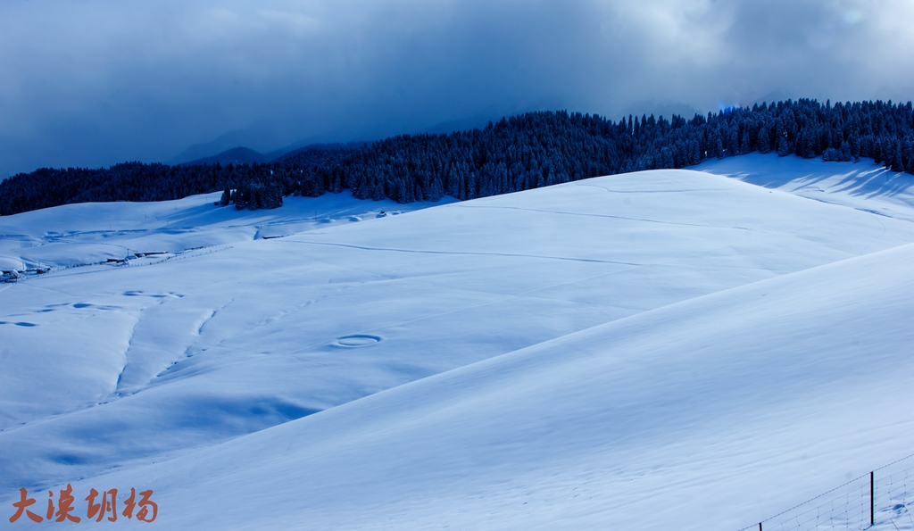 _MG_9267.jpg
