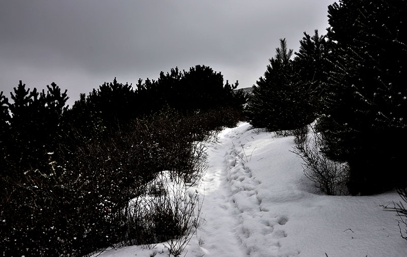 _DSC0196.JPG