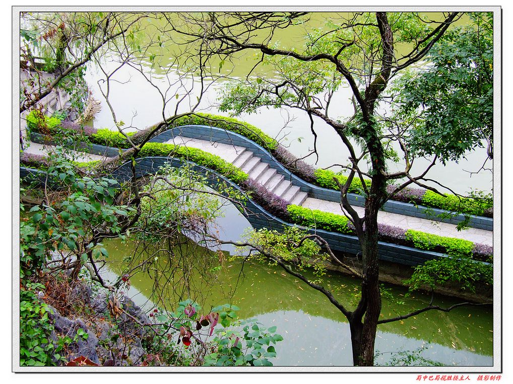 DSCF2323a.jpg