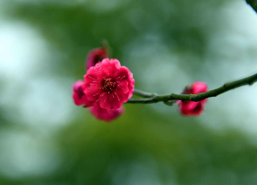 DSC_0207.JPG