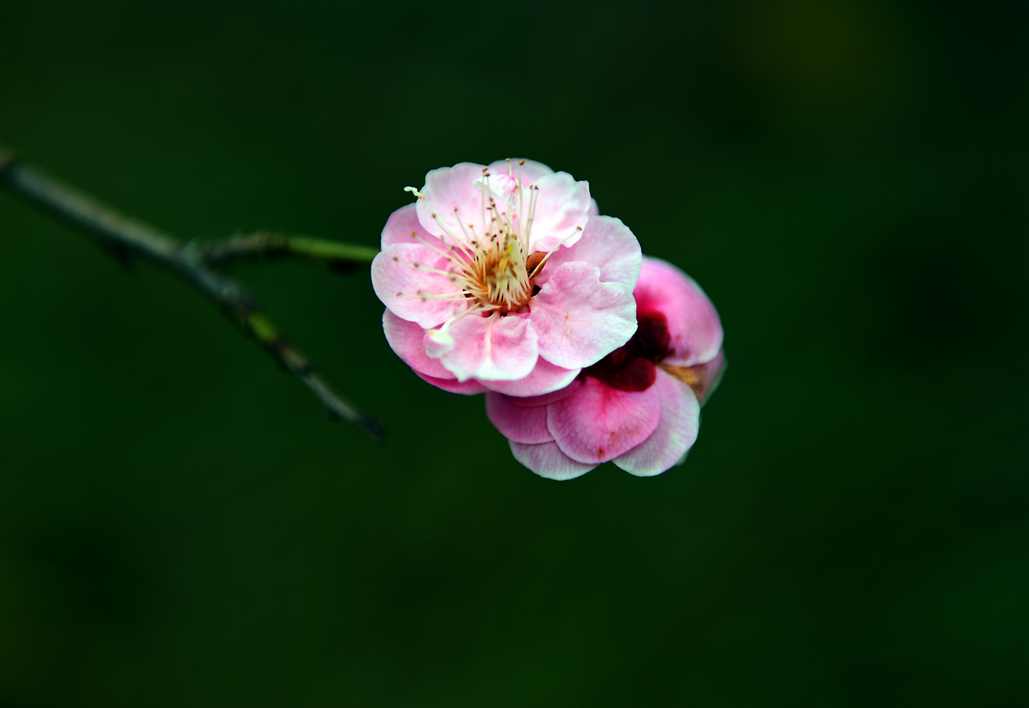 DSC_0282.JPG