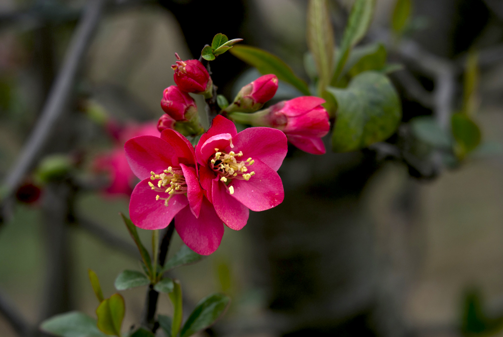 IMGP3498副本.jpg
