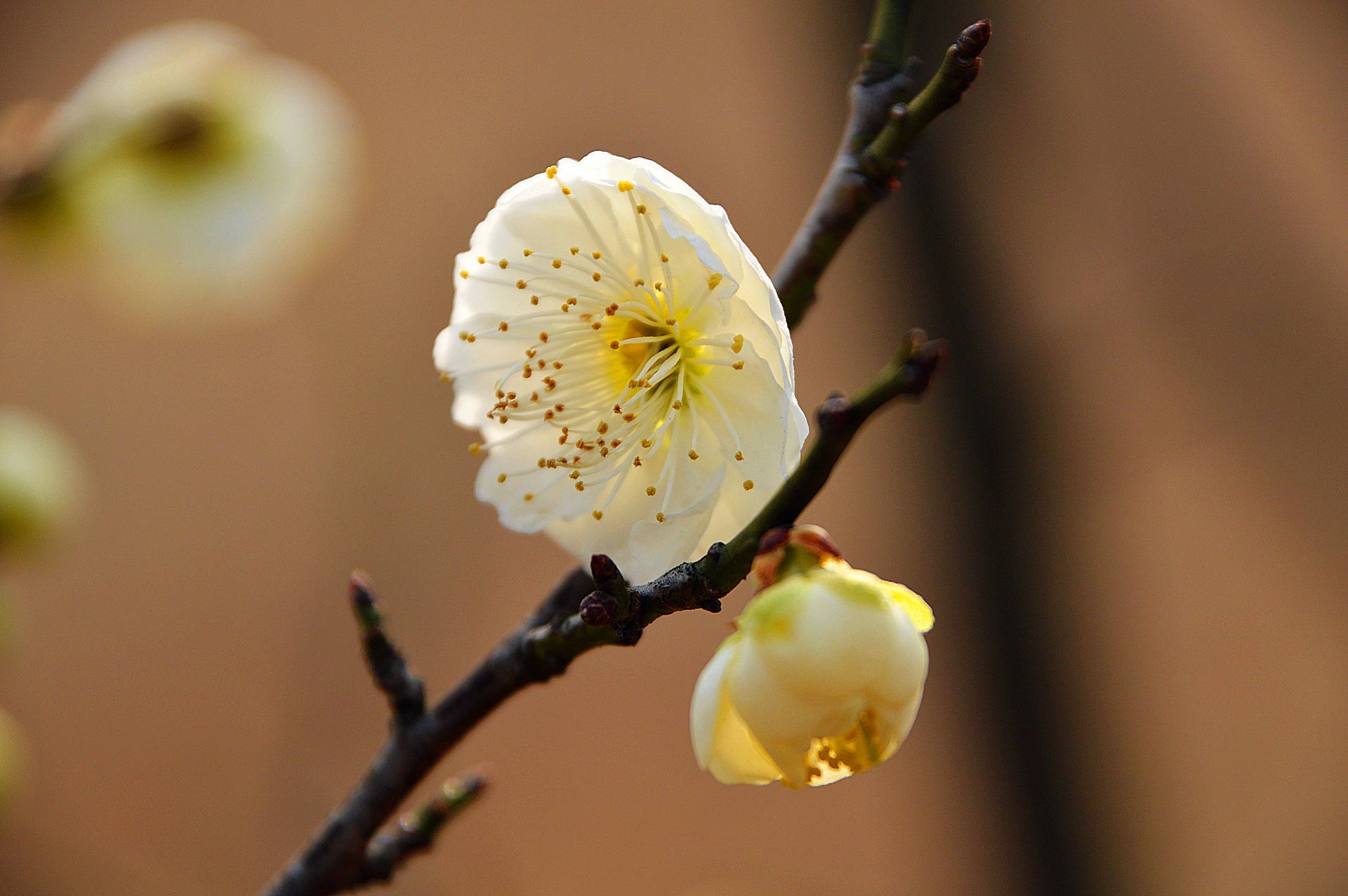 DSC_0151_副本.jpg
