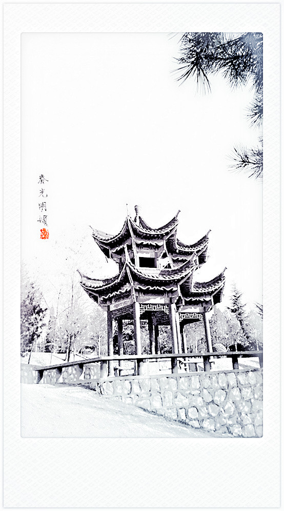 复件 (2) P2260081.JPG