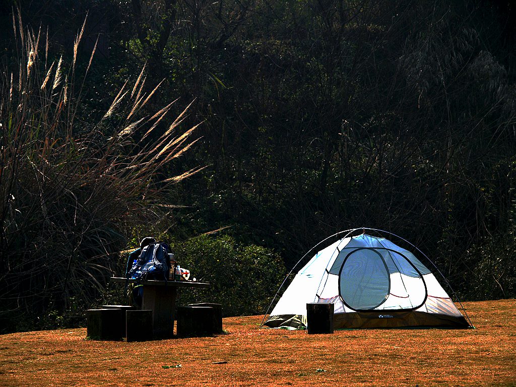 P2274058_副本.jpg