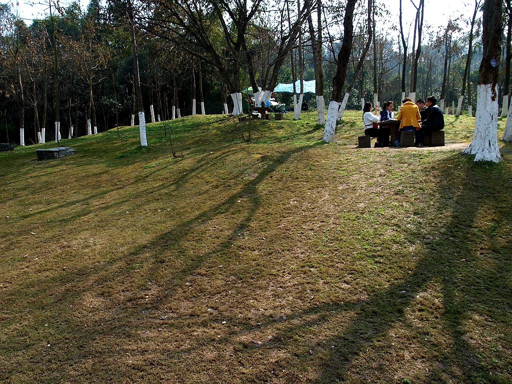 P2274346_副本.jpg