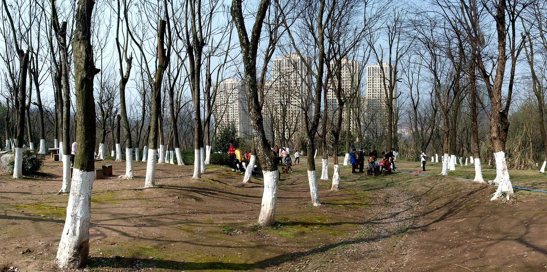 P2274351 Panorama_副本.jpg