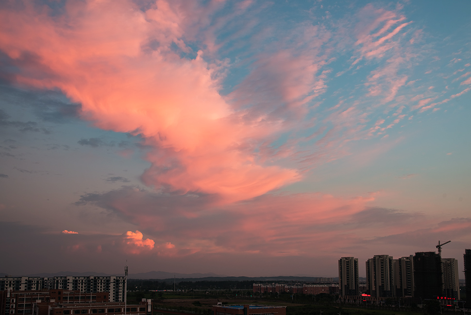 DSC_1486.jpg