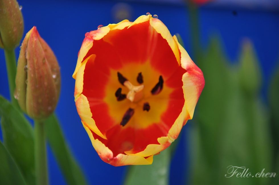 DSC_0167.JPG