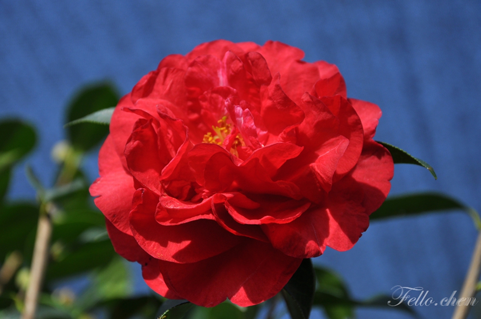 DSC_0336.JPG