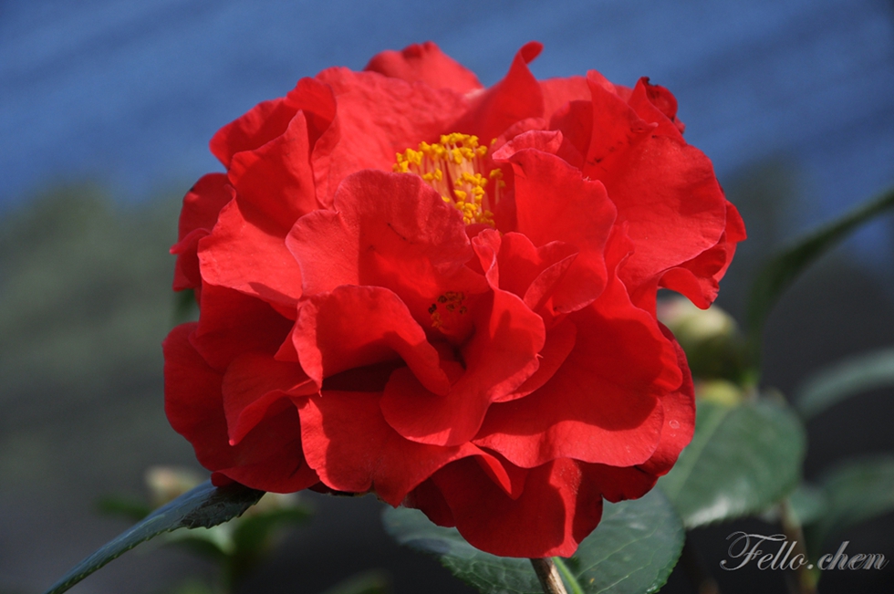 DSC_0382.JPG