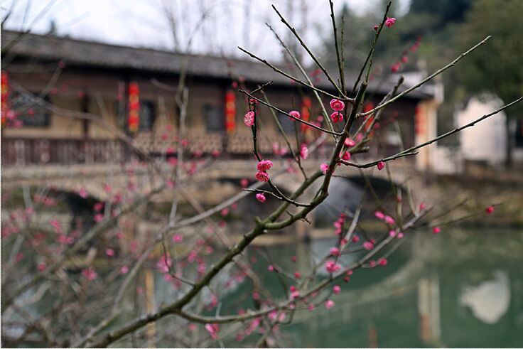 QQ图片20160226001750.jpg