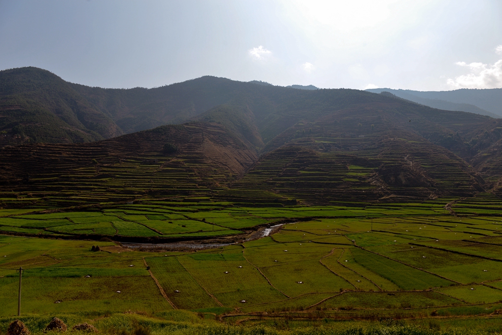 DSC_0969副本.jpg