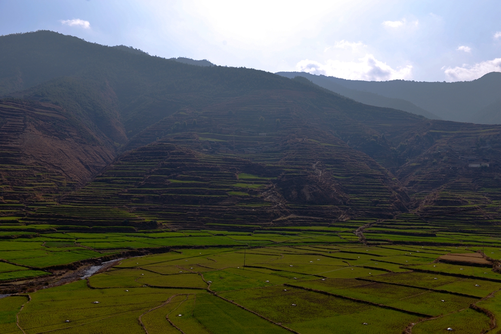 DSC_0973副本.jpg