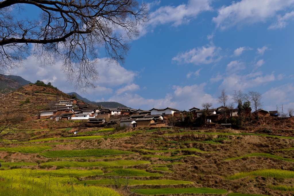 DSC_1014副本.jpg