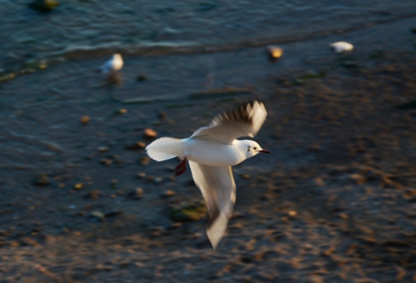 DSC_0257p_conew1.jpg