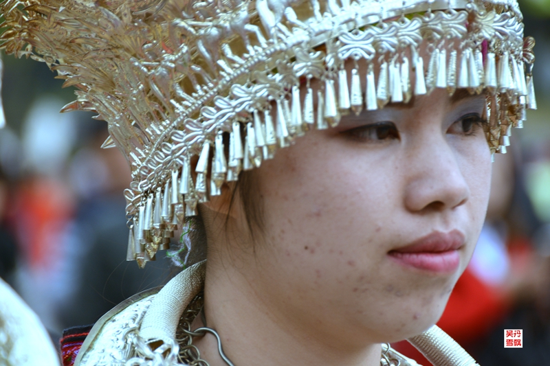 DSC_3537.jpg