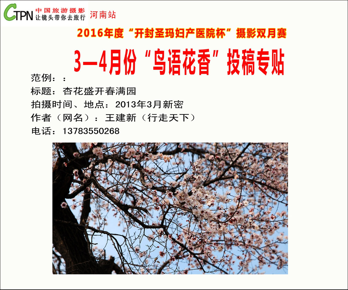 双月赛（3-4月份）投稿专贴范例 =拷贝.jpg